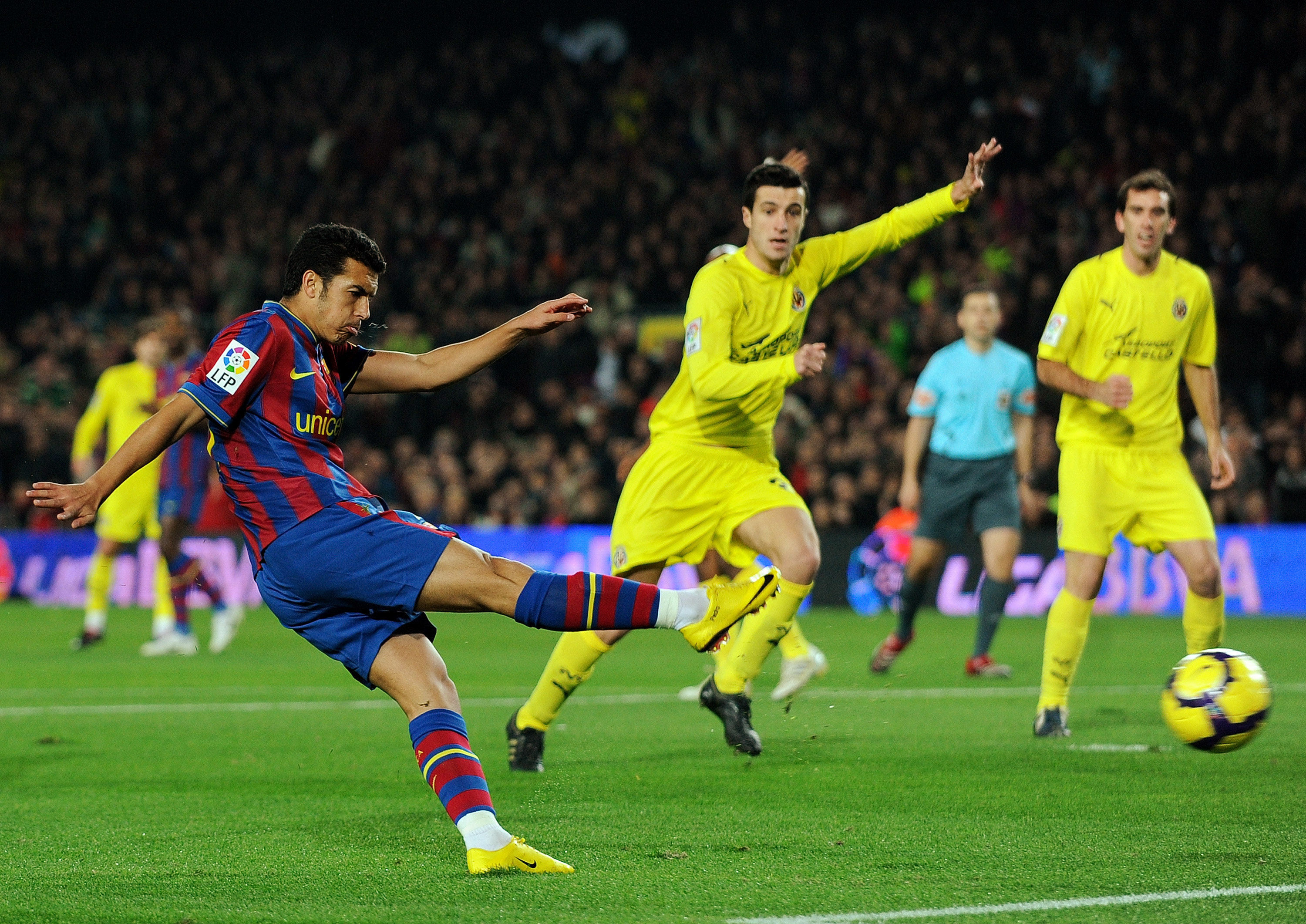 放定位个体 放定位个体